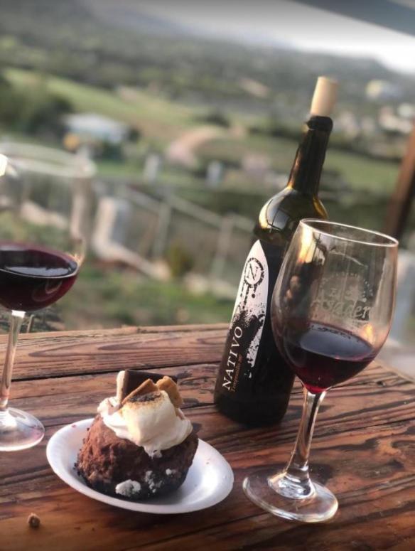 Chalet Nativo - Fabulous Terrace & Vineyard バジェ・デ・グアダルーペ エクステリア 写真